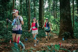 BIB: 
                            <button type="button" onclick="openModal(26134139)" class="btn btn-primary btn-sm float-right btn-popup" data-toggle="modal" data-target=".modal-high-quality">
                        <i class="fas fa-shopping-cart"></i> Add to Cart
                    </button>
                                            <button type="button" onclick="isThisMe(26134139, true)" class="btn btn-success btn-sm float-right btn-popup btn-isme hidden" data-toggle="tooltip" data-placement="bottom" title="นี่คือรูปของคุณใช่ไหม คลิกที่นี่เพื่อเอาเข้าอัลบั้ม">
                        <i class="fas fa-plus"></i> Add to album
                    </button>
                    <button type="button" onclick="isThisMe(26134139, false)" class="btn btn-warning btn-sm float-right btn-popup btn-isnotme hidden">
                        <i class="fas fa-ban"></i> Remove from album
                    </button>